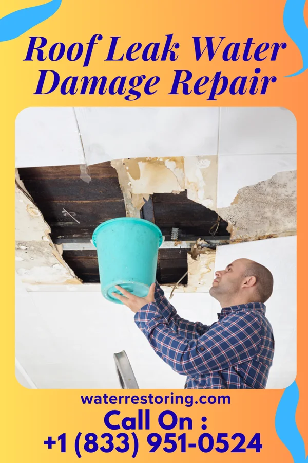 Roof Leak Water Damage Repair in Winchester, IN